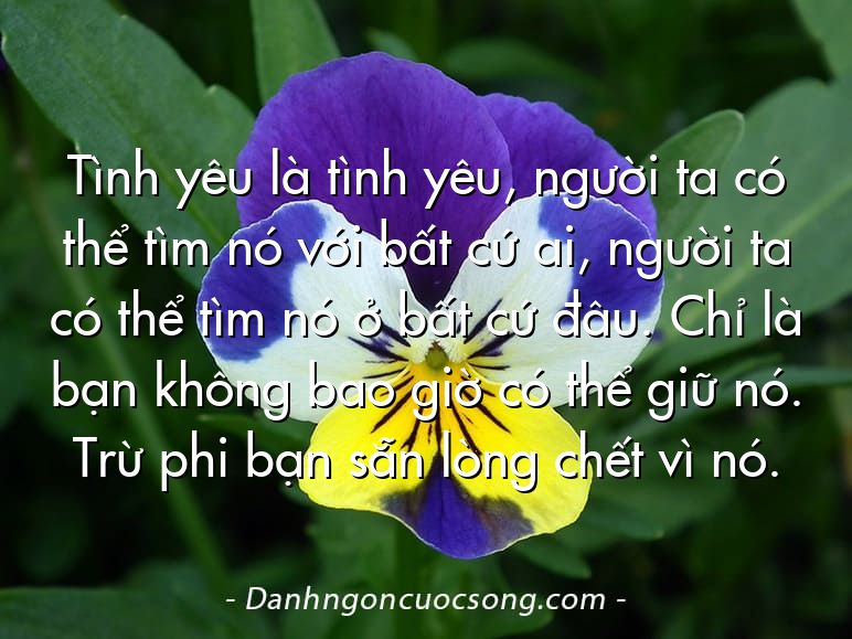 Tình yêu là tình yêu, người ta có thể tìm nó với bất cứ ai, người ta có thể tìm nó ở bất cứ đâu. Chỉ là bạn không bao giờ có thể giữ nó. Trừ phi bạn sẵn lòng chết vì nó.
