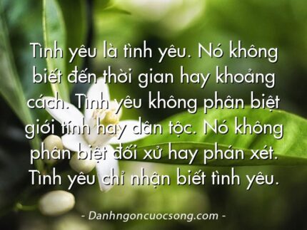 Tình yêu là tình yêu. Nó không biết đến thời gian hay khoảng cách. Tình yêu không phân biệt giới tính hay dân tộc. Nó không phân biệt đối xử hay phán xét. Tình yêu chỉ nhận biết tình yêu.
