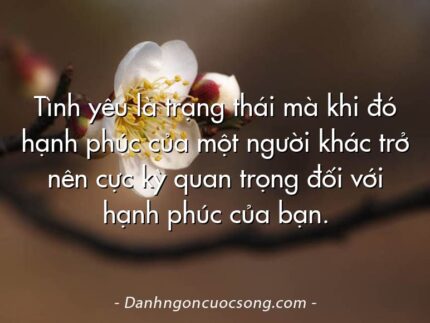Tình yêu là trạng thái mà khi đó hạnh phúc của một người khác trở nên cực kỳ quan trọng đối với hạnh phúc của bạn.