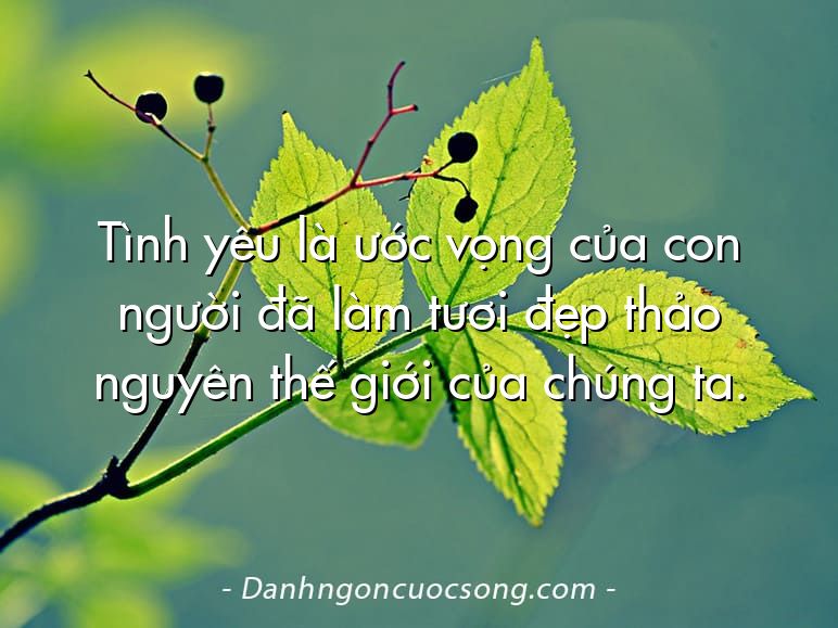 Tình yêu là ước vọng của con người đã làm tươi đẹp thảo nguyên thế giới của chúng ta.