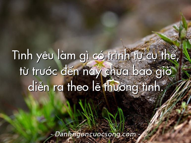Tình yêu làm gì có trình tự cụ thể, từ trước đến nay chưa bao giờ diễn ra theo lẽ thường tình.
