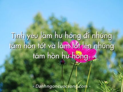 Tình yêu làm hư hỏng đi những tâm hồn tốt và làm tốt lên những tâm hồn hư hỏng.