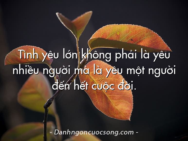 Tình yêu lớn không phải là yêu nhiều người mà là yêu một người đến hết cuộc đời.