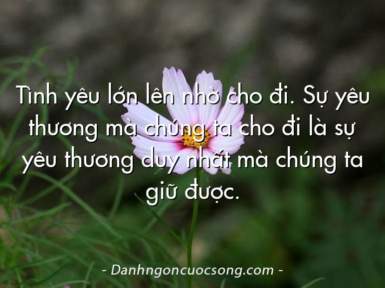 Tình yêu lớn lên nhờ cho đi. Sự yêu thương mà chúng ta cho đi là sự yêu thương duy nhất mà chúng ta giữ được.