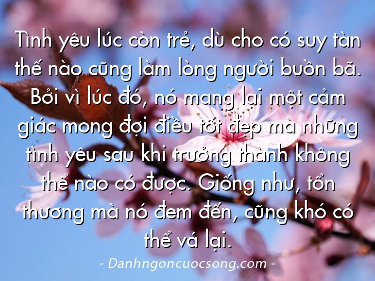 Tình yêu lúc còn trẻ, dù cho có suy tàn thế nào cũng làm lòng người buồn bã. Bởi vì lúc đó, nó mang lại một cảm giác mong đợi điều tốt đẹp mà những tình yêu sau khi trưởng thành không thể nào có được. Giống như, tổn thương mà nó đem đến, cũng khó có thể vá lại.