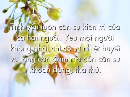 Tình yêu luôn cần sự kiên trì của cả hai người. Yêu một người không phải chỉ có sự nhiệt huyết và lòng can đảm mà còn cần sự khoan dung, tha thứ.