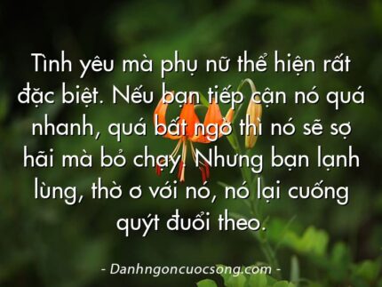 Tình yêu mà phụ nữ thể hiện rất đặc biệt. Nếu bạn tiếp cận nó quá nhanh, quá bất ngờ thì nó sẽ sợ hãi mà bỏ chạy. Nhưng bạn lạnh lùng, thờ ơ với nó, nó lại cuống quýt đuổi theo.