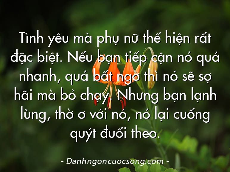 Tình yêu mà phụ nữ thể hiện rất đặc biệt. Nếu bạn tiếp cận nó quá nhanh, quá bất ngờ thì nó sẽ sợ hãi mà bỏ chạy. Nhưng bạn lạnh lùng, thờ ơ với nó, nó lại cuống quýt đuổi theo.