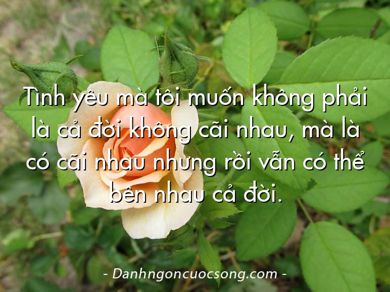 Tình yêu mà tôi muốn không phải là cả đời không cãi nhau, mà là có cãi nhau nhưng rồi vẫn có thể bên nhau cả đời.