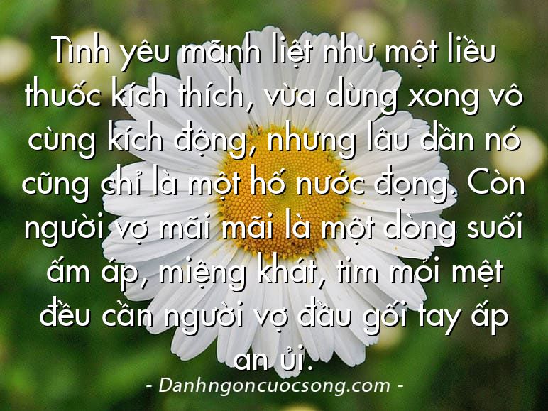Tình yêu mãnh liệt như một liều thuốc kích thích, vừa dùng xong vô cùng kích động, nhưng lâu dần nó cũng chỉ là một hố nước đọng. Còn người vợ mãi mãi là một dòng suối ấm áp, miệng khát, tim mỏi mệt đều cần người vợ đầu gối tay ấp an ủi.