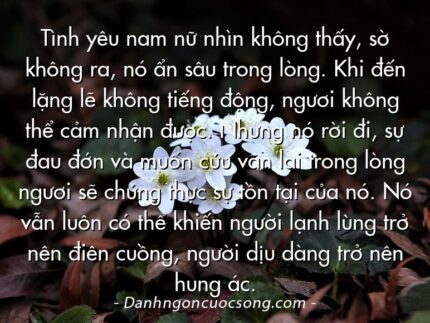 Tình yêu nam nữ nhìn không thấy, sờ không ra, nó ẩn sâu trong lòng. Khi đến lặng lẽ không tiếng động, ngươi không thể cảm nhận được. Nhưng nó rời đi, sự đau đớn và muốn cứu vãn lại trong lòng ngươi sẽ chứng thực sự tồn tại của nó. Nó vẫn luôn có thể khiến người lạnh lùng trở nên điên cuồng, người dịu dàng trở nên hung ác.