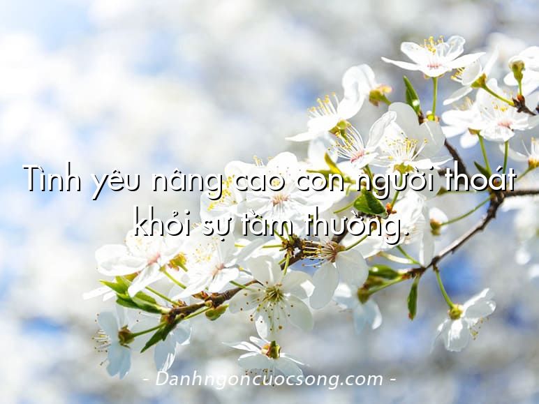 Tình yêu nâng cao con người thoát khỏi sự tầm thường.