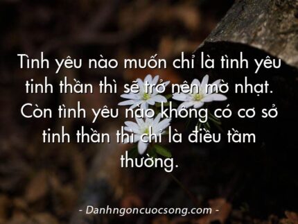 Tình yêu nào muốn chỉ là tình yêu tinh thần thì sẽ trở nên mờ nhạt. Còn tình yêu nào không có cơ sở tinh thần thì chỉ là điều tầm thường.