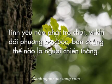Tình yêu nào phải trò chơi, vì khi đối phương bỏ cuộc, bạn chẳng thể nào là người chiến thắng.