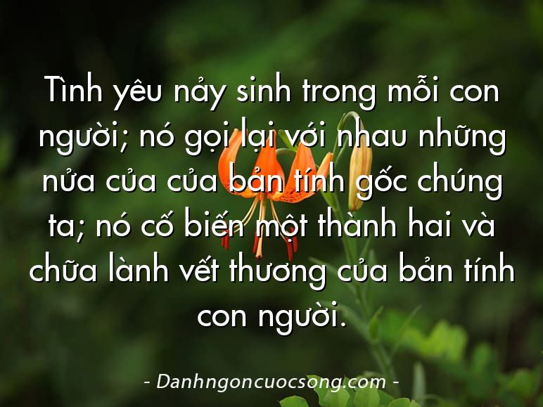 Tình yêu nảy sinh trong mỗi con người; nó gọi lại với nhau những nửa của của bản tính gốc chúng ta; nó cố biến một thành hai và chữa lành vết thương của bản tính con người.