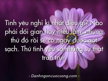 Tình yêu nghi kị nhất điều gì? Nào phải dối gian hay hiểu lầm, nhưng thứ đó rồi sẽ có ngày được gột sạch. Thứ tình yêu sợ những sự thật trần trụi.