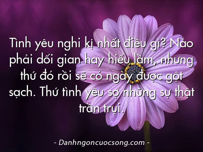 Tình yêu nghi kị nhất điều gì? Nào phải dối gian hay hiểu lầm, nhưng thứ đó rồi sẽ có ngày được gột sạch. Thứ tình yêu sợ những sự thật trần trụi.