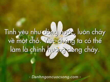 Tình yêu như dòng nước, luôn chảy về một chỗ. Việc chúng ta có thể làm là chỉnh hướng dòng chảy.