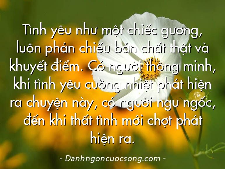 Tình yêu như một chiếc gương, luôn phản chiếu bản chất thật và khuyết điểm. Có người thông minh, khi tình yêu cuồng nhiệt phát hiện ra chuyện này, có người ngu ngốc, đến khi thất tình mới chợt phát hiện ra.