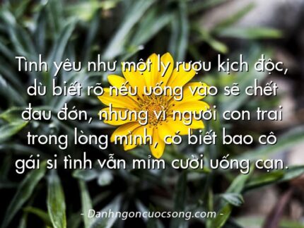 Tình yêu như một ly rượu kịch độc, dù biết rõ nếu uống vào sẽ chết đau đớn, nhưng vì người con trai trong lòng mình, có biết bao cô gái si tình vẫn mỉm cười uống cạn.