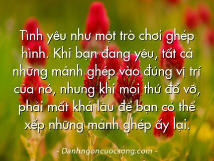 Tình yêu như một trò chơi ghép hình. Khi bạn đang yêu, tất cả những mảnh ghép vào đúng vị trí của nó, nhưng khi mọi thứ đổ vỡ, phải mất khá lâu để bạn có thể xếp những mảnh ghép ấy lại.