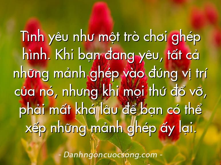 Tình yêu như một trò chơi ghép hình. Khi bạn đang yêu, tất cả những mảnh ghép vào đúng vị trí của nó, nhưng khi mọi thứ đổ vỡ, phải mất khá lâu để bạn có thể xếp những mảnh ghép ấy lại.