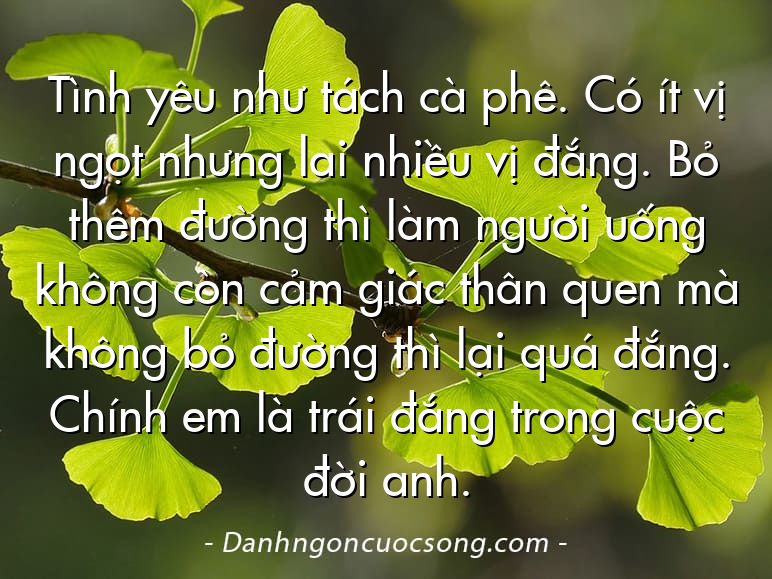 Tình yêu như tách cà phê. Có ít vị ngọt nhưng lai nhiều vị đắng. Bỏ thêm đường thì làm người uống không còn cảm giác thân quen mà không bỏ đường thì lại quá đắng. Chính em là trái đắng trong cuộc đời anh. 
