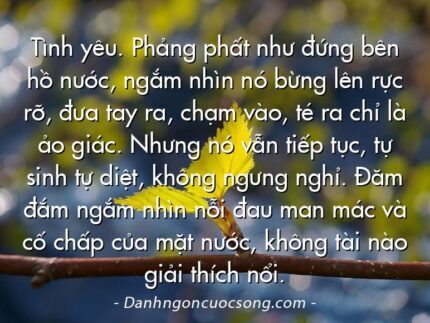 Tình yêu. Phảng phất như đứng bên hồ nước, ngắm nhìn nó bừng lên rực rỡ, đưa tay ra, chạm vào, té ra chỉ là ảo giác. Nhưng nó vẫn tiếp tục, tự sinh tự diệt, không ngưng nghỉ. Đăm đắm ngắm nhìn nỗi đau man mác và cố chấp của mặt nước, không tài nào giải thích nổi.