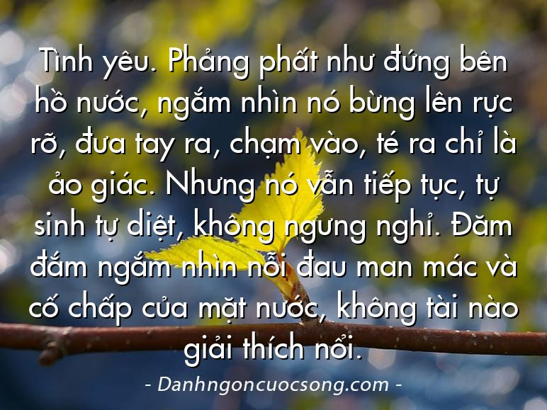 Tình yêu. Phảng phất như đứng bên hồ nước, ngắm nhìn nó bừng lên rực rỡ, đưa tay ra, chạm vào, té ra chỉ là ảo giác. Nhưng nó vẫn tiếp tục, tự sinh tự diệt, không ngưng nghỉ. Đăm đắm ngắm nhìn nỗi đau man mác và cố chấp của mặt nước, không tài nào giải thích nổi.