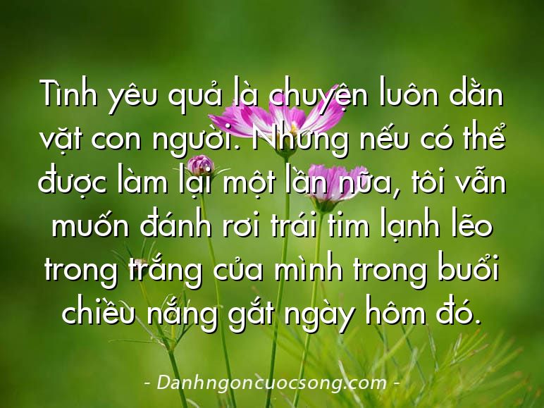 Tình yêu quả là chuyện luôn dằn vặt con người. Nhưng nếu có thể được làm lại một lần nữa, tôi vẫn muốn đánh rơi trái tim lạnh lẽo trong trắng của mình trong buổi chiều nắng gắt ngày hôm đó.