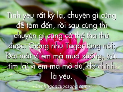 Tình yêu rất kỳ lạ, chuyện gì cũng để tâm đến, rồi sau cùng thì chuyện gì cũng có thể tha thứ được. Giống như Tagor từng nói: Đôi mắt vì em mà mưa xuống, trái tim lại vì em mà mở dù, đó chính là yêu.