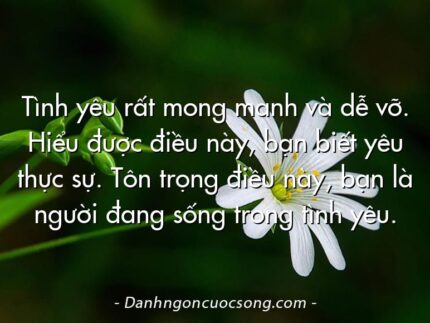 Tình yêu rất mong manh và dễ vỡ. Hiểu được điều này, bạn biết yêu thực sự. Tôn trọng điều này, bạn là người đang sống trong tình yêu.