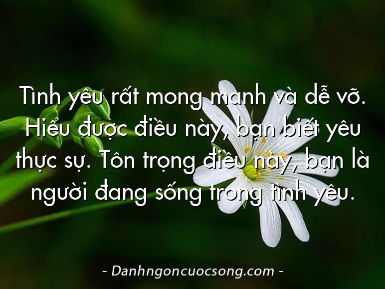 Tình yêu rất mong manh và dễ vỡ. Hiểu được điều này, bạn biết yêu thực sự. Tôn trọng điều này, bạn là người đang sống trong tình yêu.