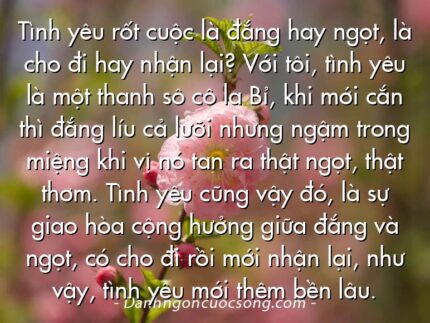 Tình yêu rốt cuộc là đắng hay ngọt, là cho đi hay nhận lại? Với tôi, tình yêu là một thanh sô cô la Bỉ, khi mới cắn thì đắng líu cả lưỡi nhưng ngậm trong miệng khi vị nó tan ra thật ngọt, thật thơm. Tình yêu cũng vậy đó, là sự giao hòa cộng hưởng giữa đắng và ngọt, có cho đi rồi mới nhận lại, như vậy, tình yêu mới thêm bền lâu.
