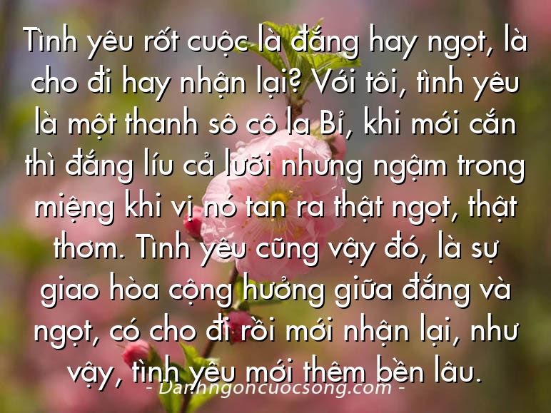 Tình yêu rốt cuộc là đắng hay ngọt, là cho đi hay nhận lại? Với tôi, tình yêu là một thanh sô cô la Bỉ, khi mới cắn thì đắng líu cả lưỡi nhưng ngậm trong miệng khi vị nó tan ra thật ngọt, thật thơm. Tình yêu cũng vậy đó, là sự giao hòa cộng hưởng giữa đắng và ngọt, có cho đi rồi mới nhận lại, như vậy, tình yêu mới thêm bền lâu.