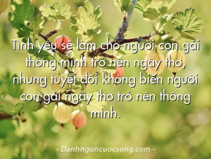 Tình yêu sẽ làm cho người con gái thông minh trở nên ngây thơ, nhưng tuyệt đối không biến người con gái ngây thơ trở nên thông minh.