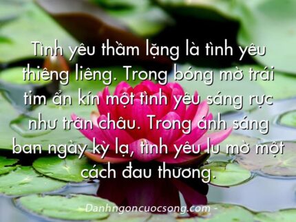 Tình yêu thầm lặng là tình yêu thiêng liêng. Trong bóng mờ trái tim ẩn kín một tình yêu sáng rực như trân châu. Trong ánh sáng ban ngày kỳ lạ, tình yêu lu mờ một cách đau thương.