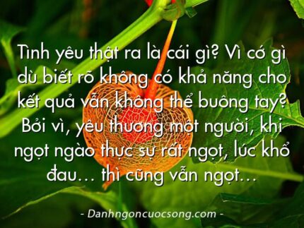 Tình yêu thật ra là cái gì? Vì cớ gì dù biết rõ không có khả năng cho kết quả vẫn không thể buông tay? Bởi vì, yêu thương một người, khi ngọt ngào thực sự rất ngọt, lúc khổ đau… thì cũng vẫn ngọt…