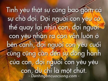 Tình yêu thật sự cũng bao gồm cả sự chờ đợi. Đợi người con yêu có thể quay lại nhìn con, đợi người con yêu nhận ra con vẫn luôn ở bên cạnh, đợi người con yêu cuối cùng cũng cần đến sự đồng hành của con, đợi người con yêu yêu con, dù chỉ là một chút.