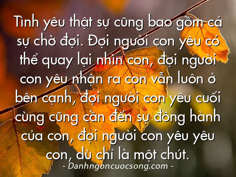 Tình yêu thật sự cũng bao gồm cả sự chờ đợi. Đợi người con yêu có thể quay lại nhìn con, đợi người con yêu nhận ra con vẫn luôn ở bên cạnh, đợi người con yêu cuối cùng cũng cần đến sự đồng hành của con, đợi người con yêu yêu con, dù chỉ là một chút.