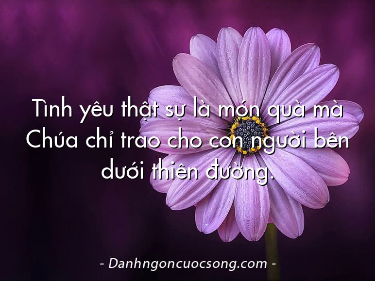Tình yêu thật sự là món quà mà Chúa chỉ trao cho con người bên dưới thiên đường.