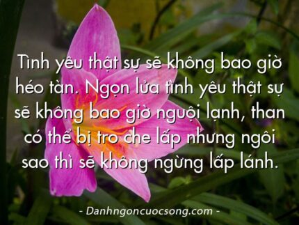 Tình yêu thật sự sẽ không bao giờ héo tàn. Ngọn lửa tình yêu thật sự sẽ không bao giờ nguội lạnh, than có thể bị tro che lấp nhưng ngôi sao thì sẽ không ngừng lấp lánh.