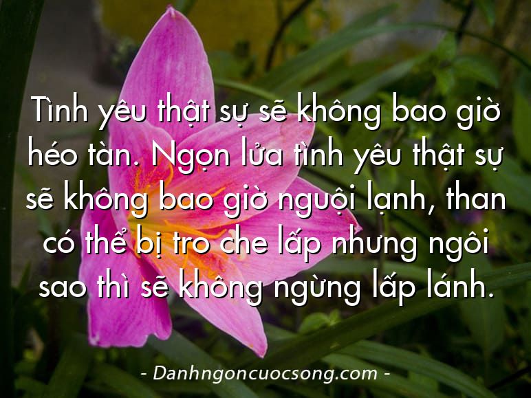 Tình yêu thật sự sẽ không bao giờ héo tàn. Ngọn lửa tình yêu thật sự sẽ không bao giờ nguội lạnh, than có thể bị tro che lấp nhưng ngôi sao thì sẽ không ngừng lấp lánh.