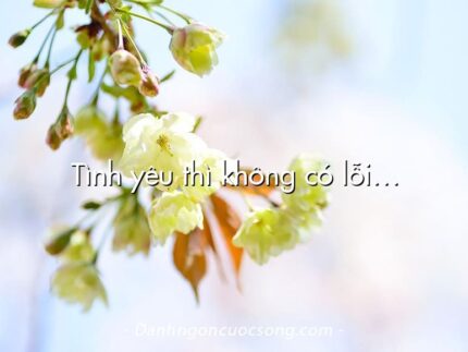 Tình yêu thì không có lỗi…