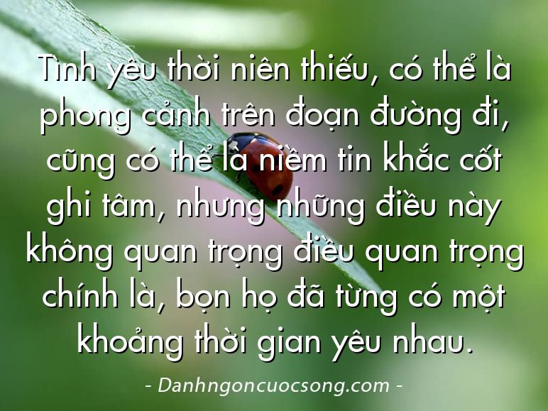 Tình yêu thời niên thiếu, có thể là phong cảnh trên đoạn đường đi, cũng có thể là niềm tin khắc cốt ghi tâm, nhưng những điều này không quan trọng điều quan trọng chính là, bọn họ đã từng có một khoảng thời gian yêu nhau.