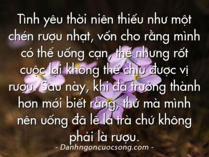 Tình yêu thời niên thiếu như một chén rượu nhạt, vốn cho rằng mình có thể uống cạn, thế nhưng rốt cuộc lại không thể chịu được vị rượu. Sau này, khi đã trưởng thành hơn mới biết rằng, thứ mà mình nên uống đã lẽ là trà chứ không phải là rượu.