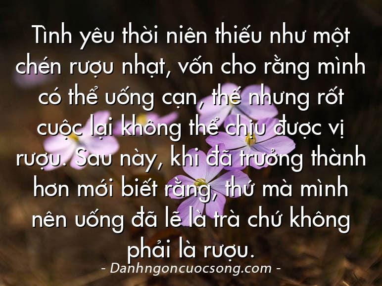 Tình yêu thời niên thiếu như một chén rượu nhạt, vốn cho rằng mình có thể uống cạn, thế nhưng rốt cuộc lại không thể chịu được vị rượu. Sau này, khi đã trưởng thành hơn mới biết rằng, thứ mà mình nên uống đã lẽ là trà chứ không phải là rượu.