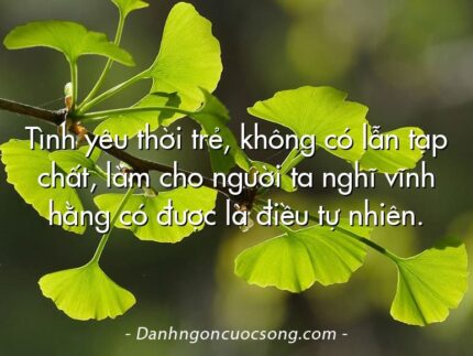 Tình yêu thời trẻ, không có lẫn tạp chất, làm cho người ta nghĩ vĩnh hằng có được là điều tự nhiên.