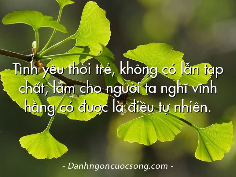 Tình yêu thời trẻ, không có lẫn tạp chất, làm cho người ta nghĩ vĩnh hằng có được là điều tự nhiên.