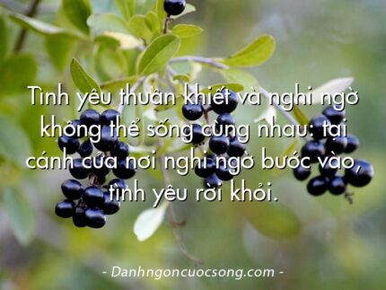 Tình yêu thuần khiết và nghi ngờ không thể sống cùng nhau: tại cánh cửa nơi nghi ngờ bước vào, tình yêu rời khỏi.